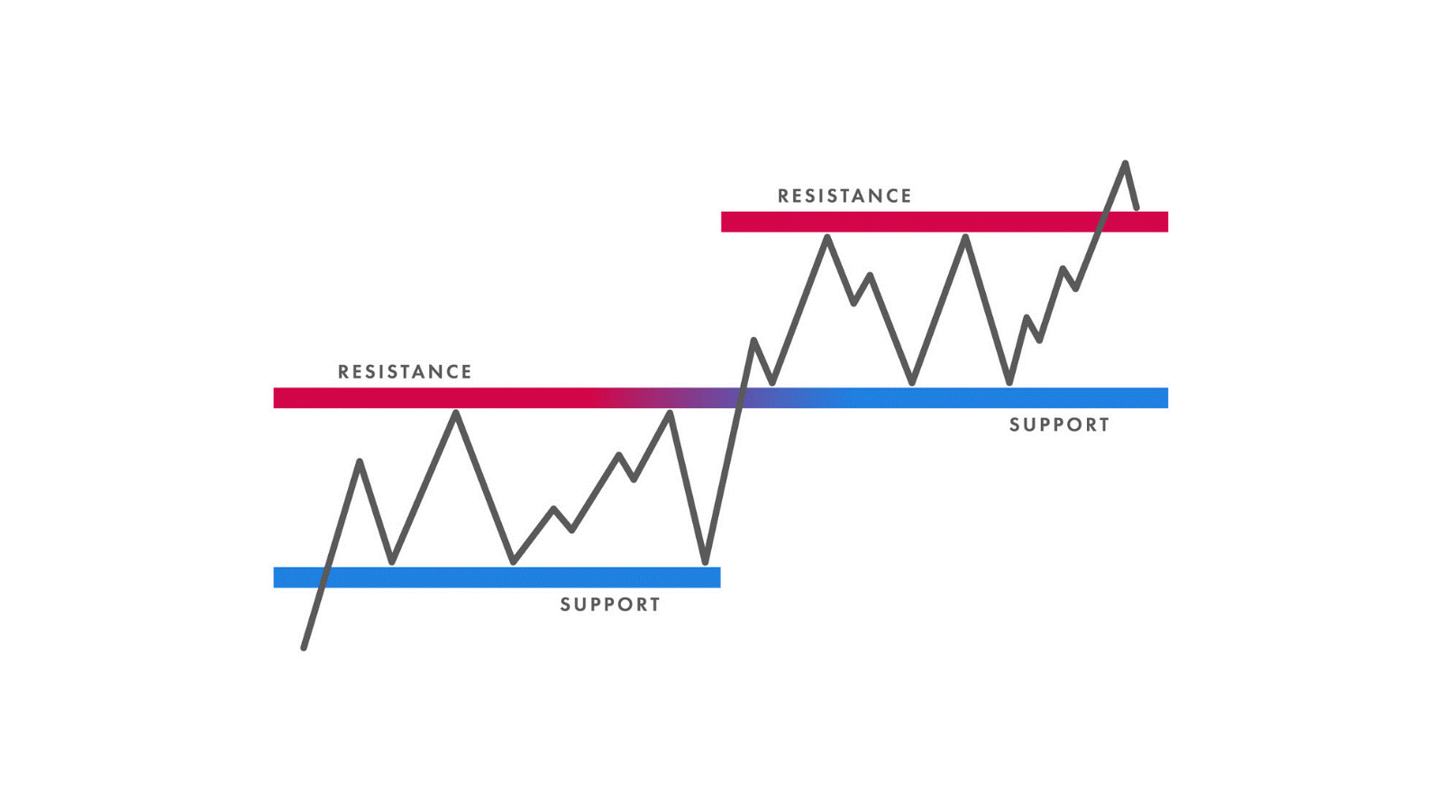 menentukan_SNR_belajar_trading